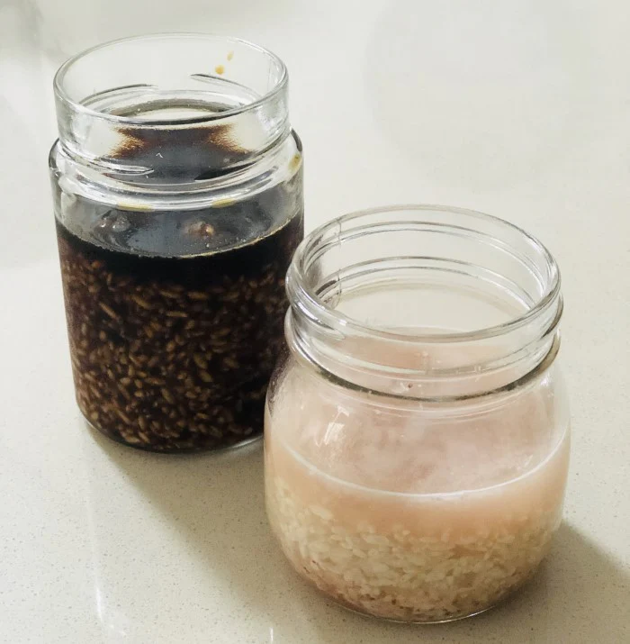 Preparing homemade shio koji using koji rice, salt, and water