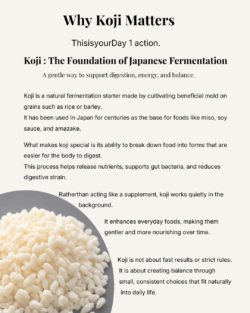  Japanese Fermentation Gut Reset Guide